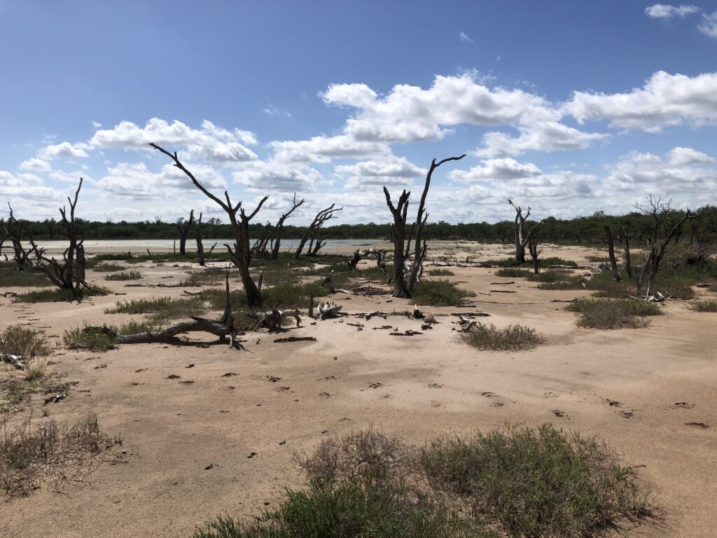 Paraguay Chaco Salzlagunen