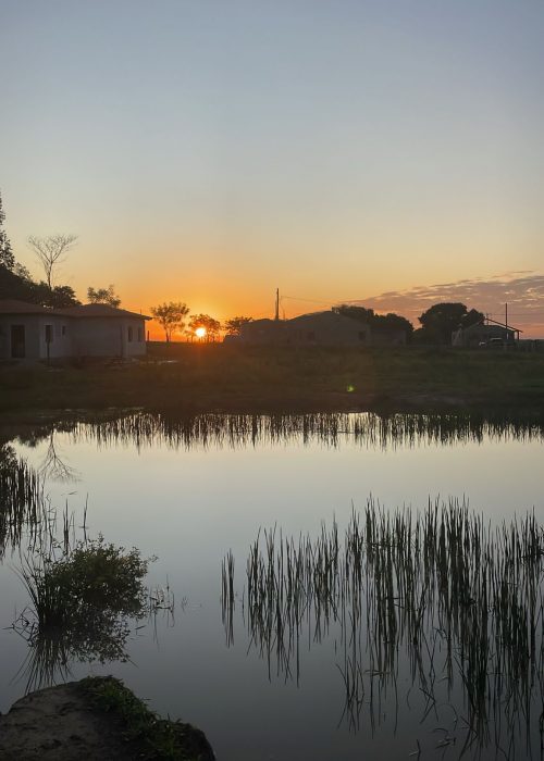 Vermietung Gästehaus Planta Urbana Paraguay